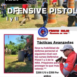 NRA Defensive Pistol